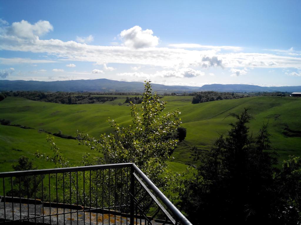 Certine Agriturismo Asciano Exterior foto