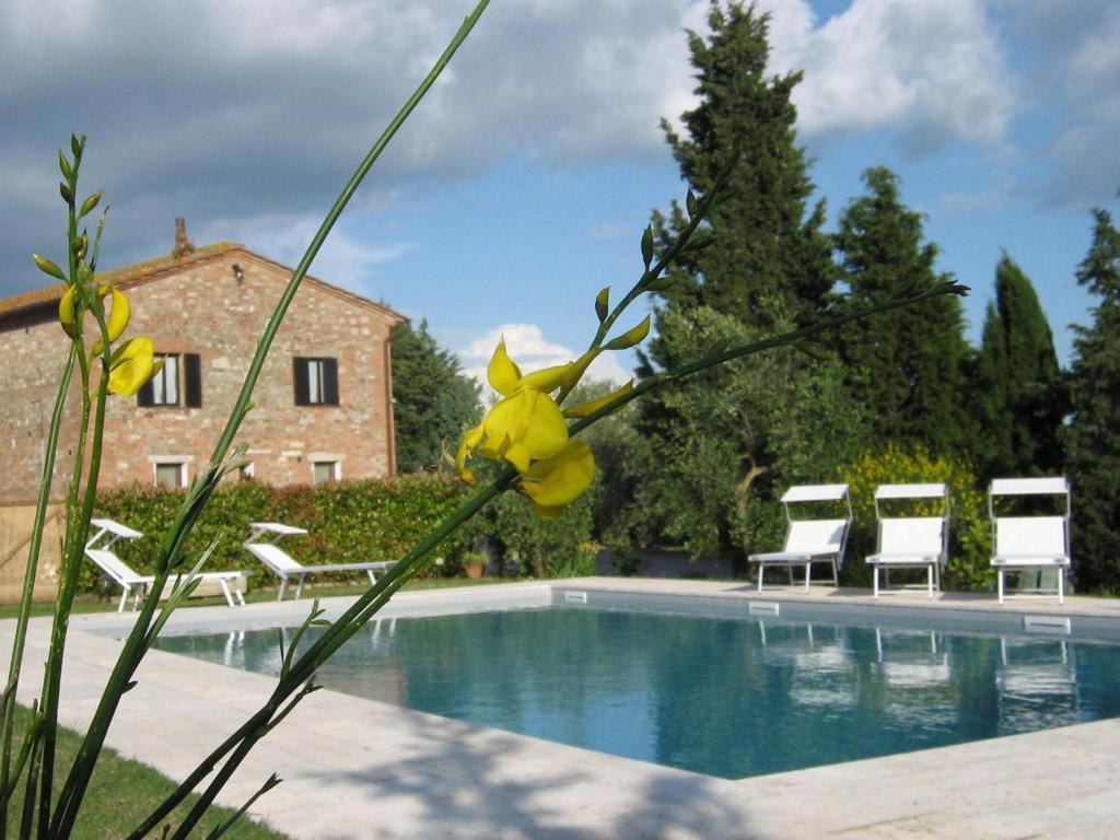 Certine Agriturismo Asciano Exterior foto