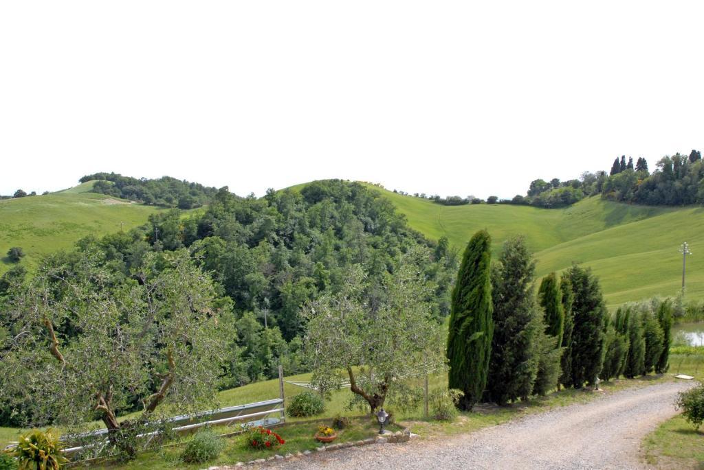 Certine Agriturismo Asciano Exterior foto